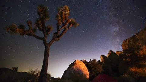 Joshua Tree Campsite Timelapse Stock Footage 100567845