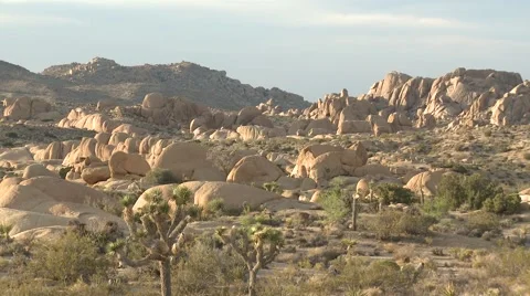 Joshua Tree Desert Landscape 2 Stock Footage 6993229