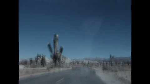 Joshua Tree Drive 1970 Stock Footage 275845097