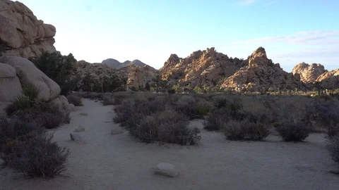 Joshua Tree Hidden Valley Vídeos de archivo 124394913