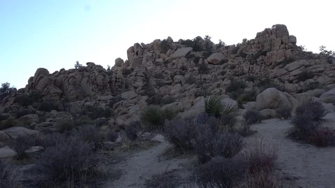 Joshua Tree Hidden Valley Vídeos de archivo 124395007