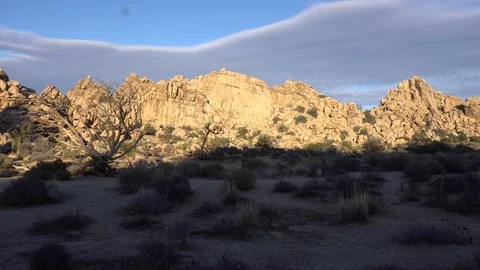 Joshua Tree Hidden Valley Vídeos de archivo 124395061
