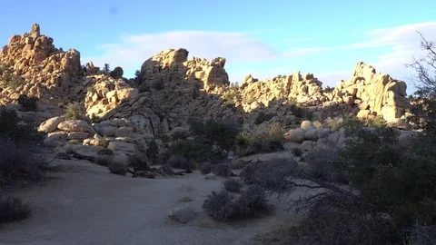 Joshua Tree Hidden Valley Vídeos de archivo 124395071