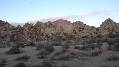 Joshua Tree Hidden Valley Vídeos de archivo 124395144