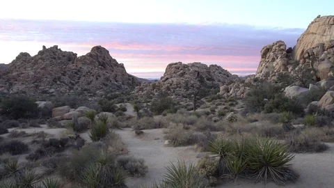 Joshua Tree Hidden Valley Sunset Video stock 124395130