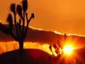 Joshua Tree HS 04 Time Lapse Sunset 18x Web Footage