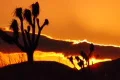 Joshua Tree HS 05 Sunset Loop 01 Web Footage