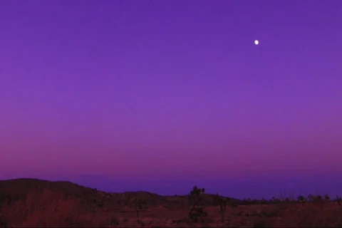 Joshua Tree HS 07 Sunset Full Moon Loop Stock Footage 581009