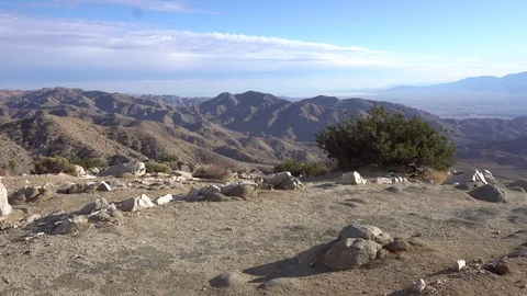 Joshua Tree Keys View Vídeos de archivo 124395346