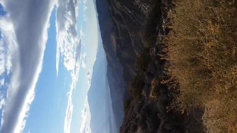 Joshua Tree Landscape Stock Photos