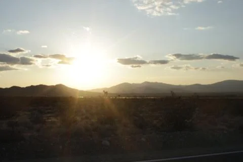 Joshua Tree mountain 스톡 사진