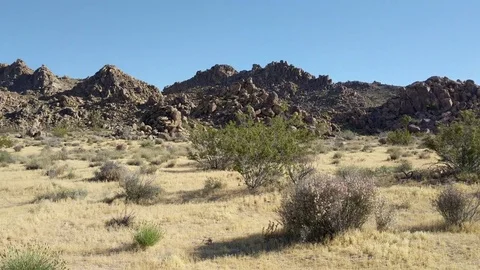 Joshua Tree Mountains Stock Footage 80069326