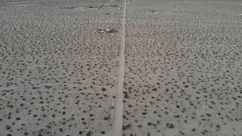 Joshua Tree Multiple Shots Video stock 123447060