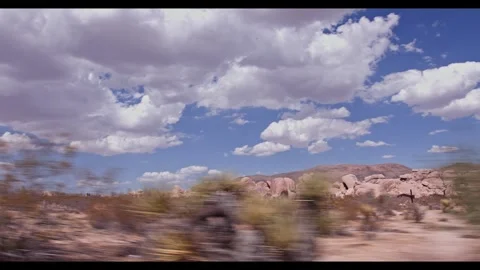 Joshua Tree - National Park Stock Footage 292161753
