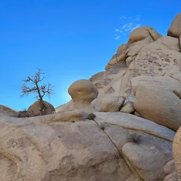 Joshua Tree National Park Stock Photos
