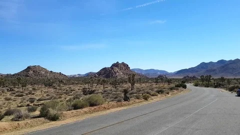 Joshua tree, Pan time lapse of a road and cars in Joshua tree national park.. Stock Footage 74485993