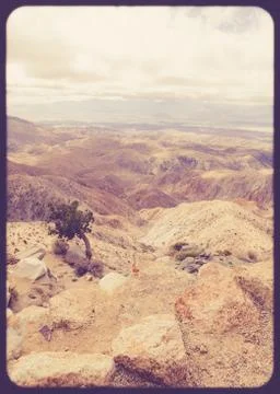 Joshua tree park Stock Photos