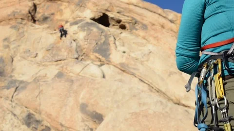 Joshua Tree Rock Climbers Stock Footage 86296853