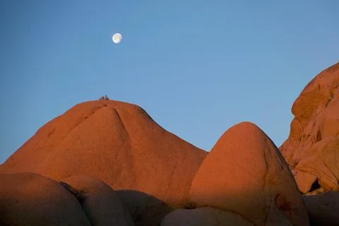 Joshua Tree Rocks Fotos de archivo