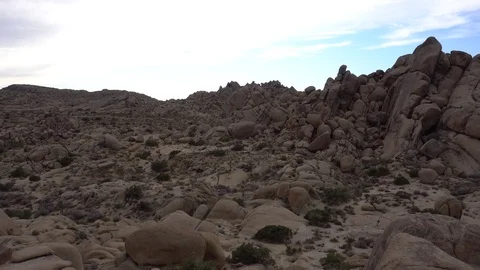 Joshua Tree Scenery Stock-Footage 124396366