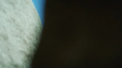 Joshua Tree seen through two huge rock Stock Footage 99741483