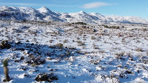 Joshua Tree Snow Drone 2 Stock Footage 246061498