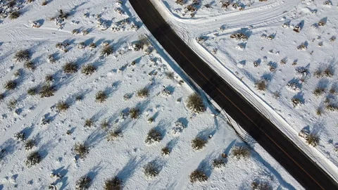Joshua Tree Snow Drone 3 Stock Footage 246236385