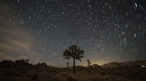 Joshua Tree Star Trails Stock Footage 66999699
