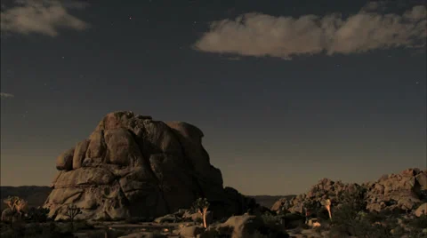 Joshua tree starlapse 스톡 동영상 29666590