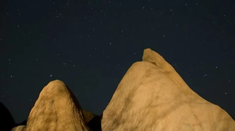 Joshua Tree Stars time lapse Stock Footage 7735510