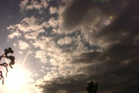 Joshua Tree Sunset 02  Motion Control Time LapsePan Tilt Up 20x Stock Footage 580937