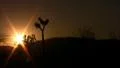 Joshua Tree Sunset 04 Motion Control Time Lapse Pan 30x Footage