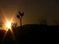 Joshua Tree Sunset 04 Motion Control Time Lapse Pan 30x Web Footage
