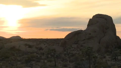 Joshua Tree Sunset Desert Landscape 2 動画素材 6984591