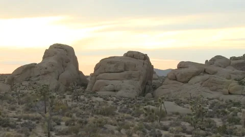 Joshua Tree Sunset Desert Landscape Stock Footage 6987871