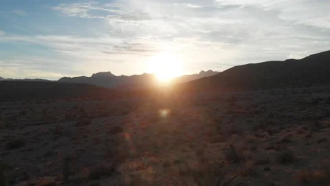 Joshua tree at sunset. Desert trails. 4K Drone. Las Vegas, NV Stock Footage 147573765