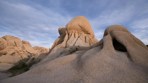 Joshua Tree Sunset Video stock 127053581