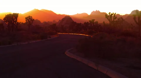Joshua Tree sunset HD Stock Footage 33529977