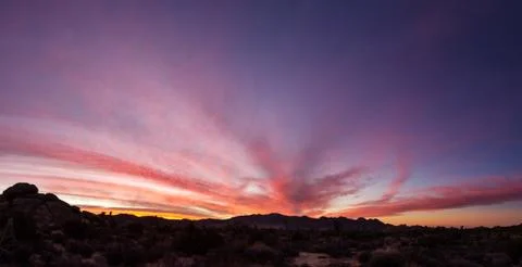 Joshua tree sunset panorama Foto stock