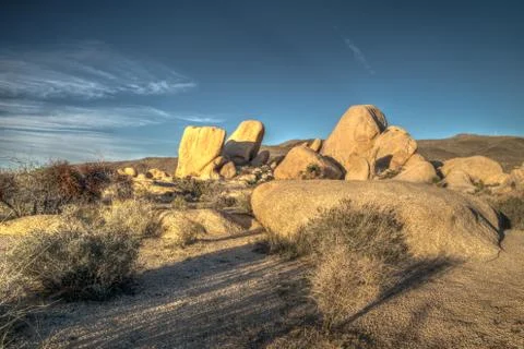 Joshua tree sunset Stock-Fotos
