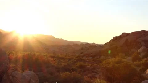 Joshua Tree sunset scenic Stock Footage 8944854