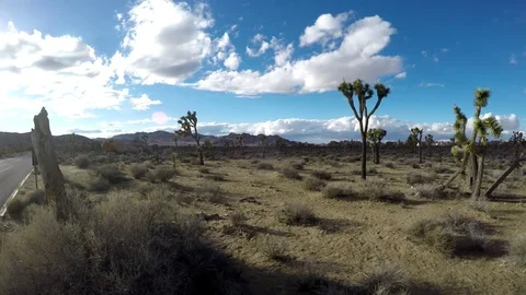Joshua Tree Time Lapse Vídeos de archivo 72719087