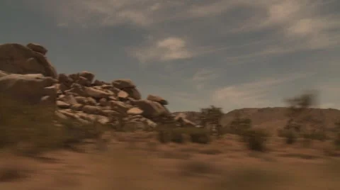 Joshua Tree Tracking Shot from Car Stock Footage 6968437