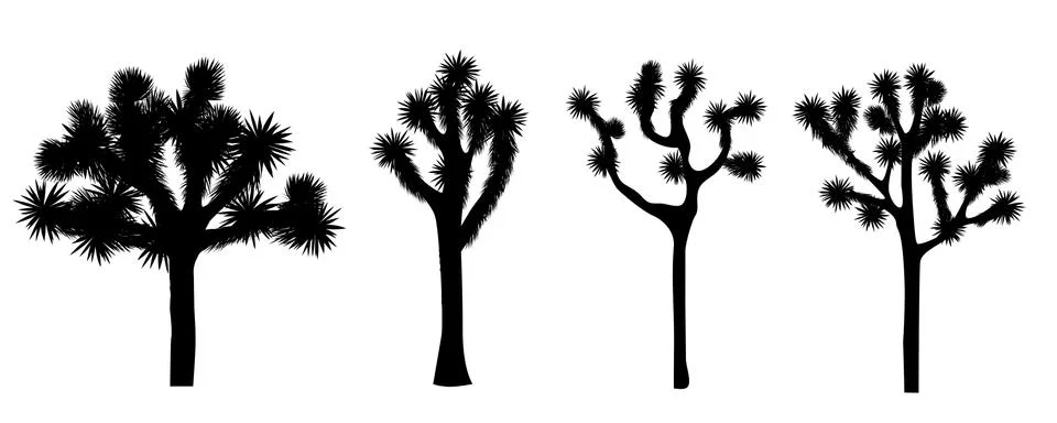 Joshua tree vector collection Stock Illustration