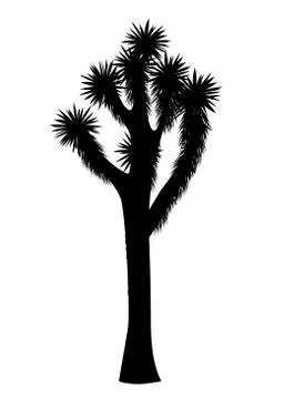 Joshua tree vector isolated on white background Stock Illustration