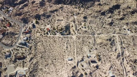 Joshua Tree Video Stock Footage 172207876