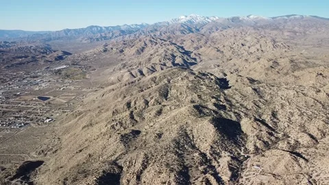 Joshua Tree Video Stock Footage 172208058