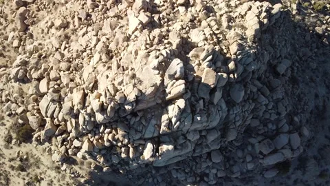 Joshua Tree Video Stock Footage 172208112