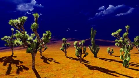 Joshua trees on desert Stock Illustration