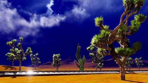 Joshua trees on desert Illustrazione stock